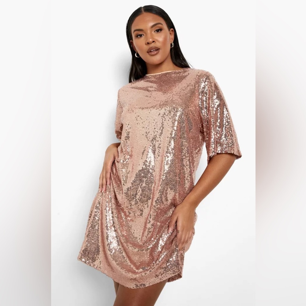 Plus Sequin Sleeve Shift Dress